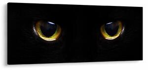 Slika - mačje oči (120x50 cm)
