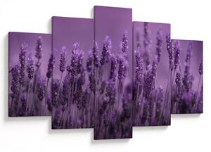 Slika - Lavanda (150x105 cm)