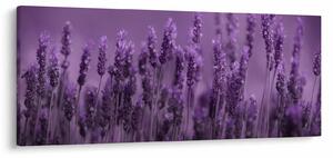 Slika - Lavanda (120x50 cm)