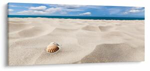 Slika - Školjke na plaži (120x50 cm)