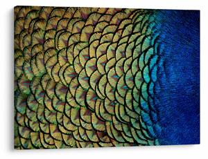 Slika - Paunovo perje (70x50 cm)