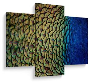 Slika - Paunovo perje (90x60 cm)