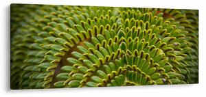 Slika - Paprat (120x50 cm)