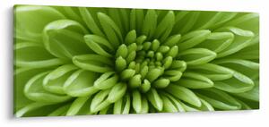 Slika - Makro slika biljke (120x50 cm)