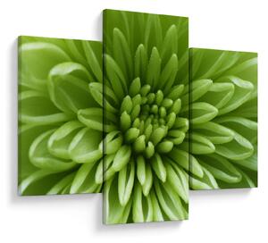 Slika - Makro slika biljke (90x60 cm)