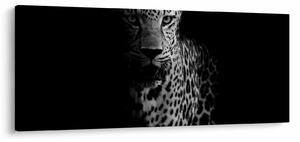 Slika - Portret leoparda (120x50 cm)