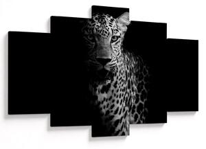 Slika - Portret leoparda (150x105 cm)