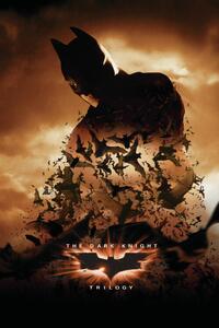 Umjetnički plakat The Dark Knight Trilogy - Bats, (26.7 x 40 cm)