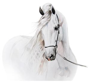 Prekrasna zidna naljepnica Bijeli konj 115 x 127 cm