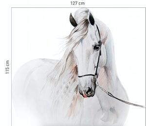 Prekrasna zidna naljepnica Bijeli konj 115 x 127 cm