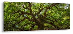 Slika - Zeleno stablo (120x50 cm)
