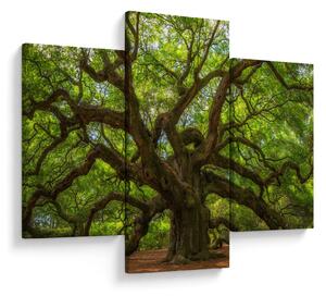 Slika - Zeleno stablo (90x60 cm)