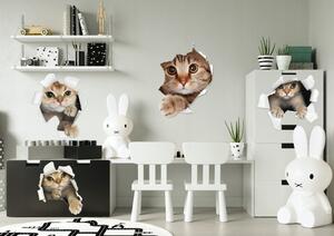 Dječja zidna naljepnica sa slatkim mačićem 60 x 120 cm