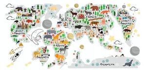 Raznobojna dječja zidna naljepnica Karta svijeta 120 x 240 cm