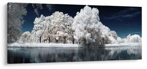 Slika - Snjeguljica stabla (120x50 cm)