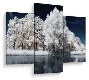 Slika - Snjeguljica stabla (90x60 cm)