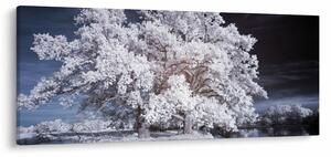 Slika - Snjeguljica Drvo (120x50 cm)