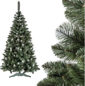 Božićno drvce POLA 220 cm bor