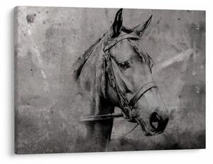 Slika - Portret konja (70x50 cm)