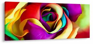 Slika - Šarena ruža (120x50 cm)