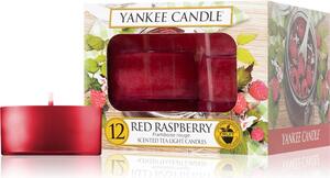 Yankee Candle Red Raspberry čajna svijeća 12 x 9.8 g
