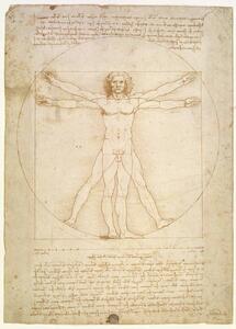 Leonardo da Vinci - Reprodukcija The Proportions of the human figure , c.1492, (30 x 40 cm)