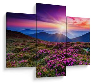 Slika - Planinski cvjetni krajolik (90x60 cm)