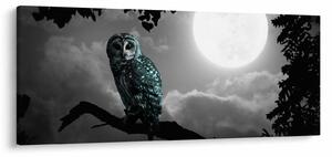 Slika - Noćna ptica, plava (120x50 cm)