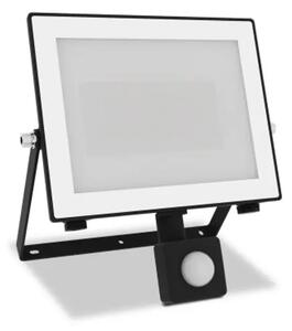 PHILIPS vanjska LED svjetiljka LOIS FLOOD crna 50W 30K IR 8720169365261