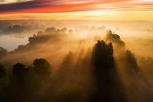 Fotografija Beautiful misty dawn in the spring, Anton Petrus