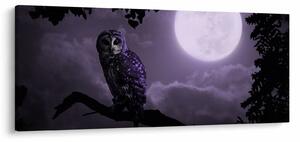 Slika - Noćna ptica, ljubičasta (120x50 cm)