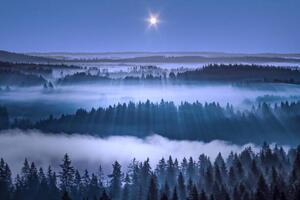 Fotografija Beautiful foggy forest, Aulanko, Hameenlinna, Finland, Milamai
