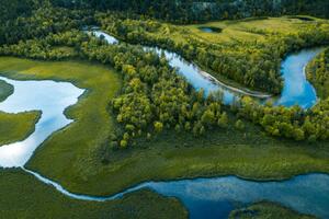 Fotografija Swamp, river and trees seen from above, Baac3nes
