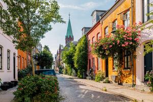 Fotografija Charming street with residential houses and, Alexander Spatari
