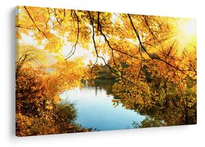 Slika - Jesensko drvo (90x60 cm)