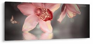 Slika - Cvijeće i leptir (120x50 cm)
