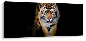 Slika - Tigar (120x50 cm)