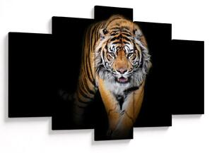 Slika - Tigar (150x105 cm)