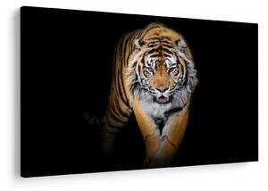 Slika - Tigar (90x60 cm)