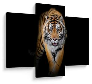 Slika - Tigar (90x60 cm)