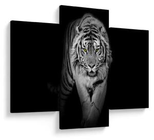 Slika - Tigar sa žutim očima (90x60 cm)