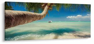 Slika - Čisto more s palmom (120x50 cm)