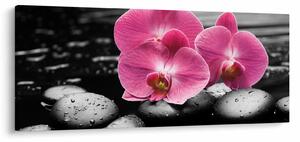 Slika - Ružičaste orhideje (120x50 cm)