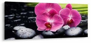 Slika - Ružičaste orhideje s palminim lišćem (120x50 cm)