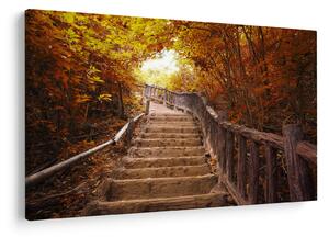 Slika - Stepenice u prirodi u jesen (90x60 cm)