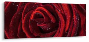 Slika - Crvena ruža s kapljicama rose (120x50 cm)