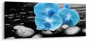 Slika - Plava orhideja (120x50 cm)