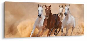 Slika - Krdo konja (120x50 cm)