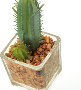 Umjetne biljke u setu 6 kom (visina 8 cm) Cactus – Casa Selección