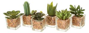 Set s 6 umjetnih ukrasa u obliku kaktusa Casa Selección